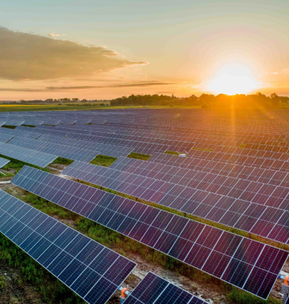 Screenshot 2025-08-21 094649 Screenshot 2025-08-21 094649