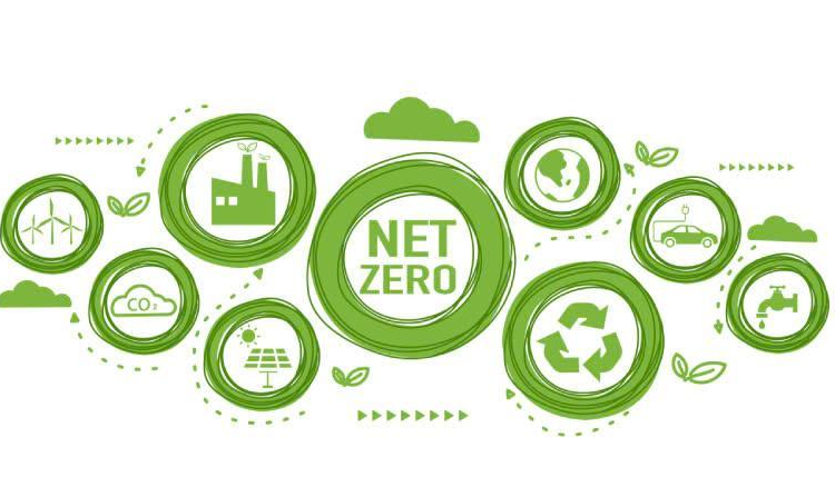 Net Zero Là Gì? Tầm Quan Trọng