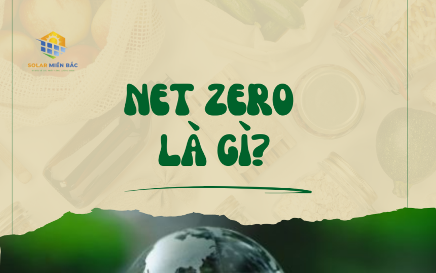 net zero net zero