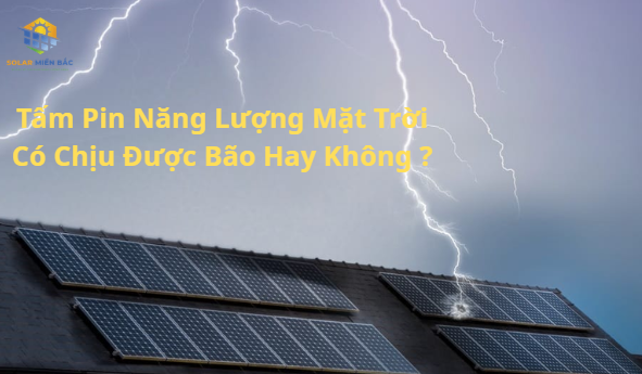 Tấm pin năng lượng chịu được bão không?