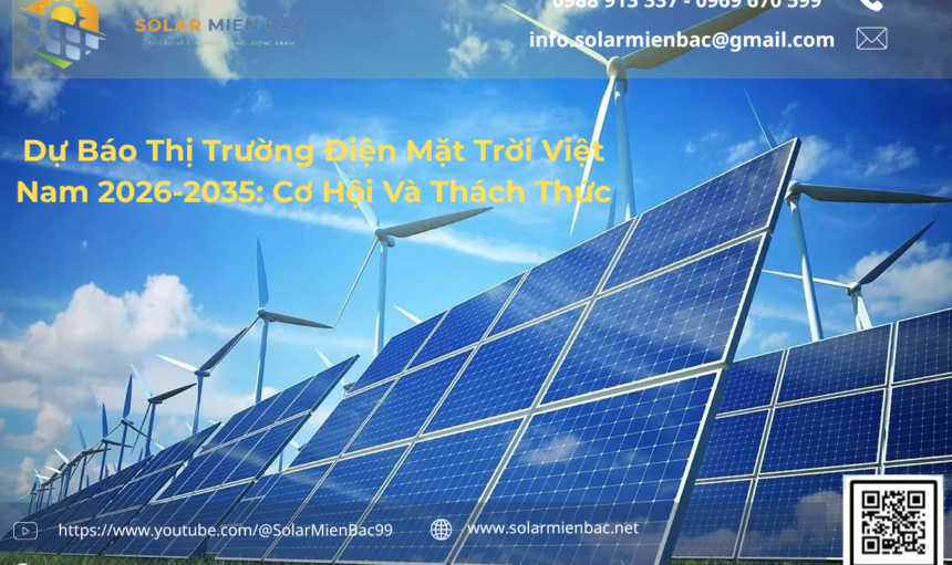 DỰ BÁO THỊ TRƯỜNG